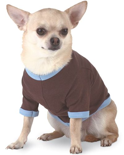 Dog Wear
